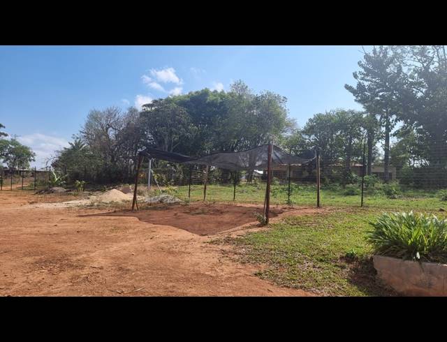 3.20HA FARM TO LET IN WHITE RIVER AH
